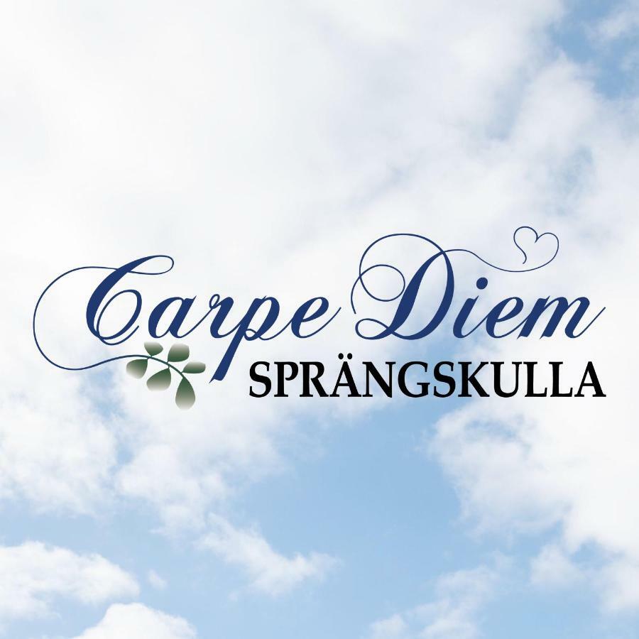 Carpe Diem Spraengskulla Veddige Exterior photo